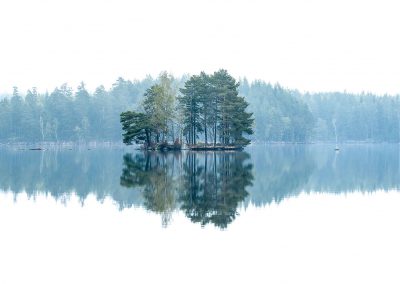 Line of trees reflecting in a white lake with a small island in the middle