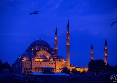 Suleiman mosque at sunset with dark blue sky, golden lights and birds in the sky