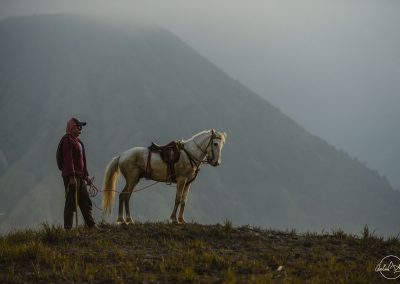 Horseman next to his white horse and mountain in background