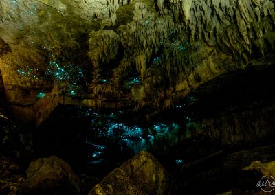 Stalactites in a cave with glowing worms